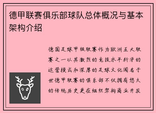 德甲联赛俱乐部球队总体概况与基本架构介绍